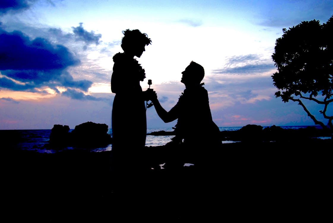 Showing Her How Much You Really Know Her During Your Proposal